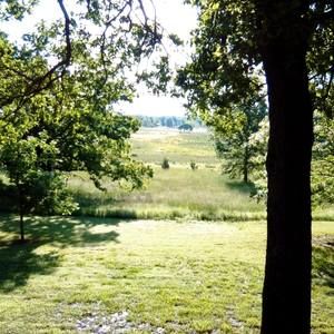 Meet your Posher, Cheryll